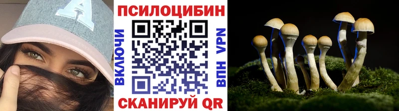 omg вход купить наркоту Павловская Галлюциногенные грибы Psilocybine cubensis